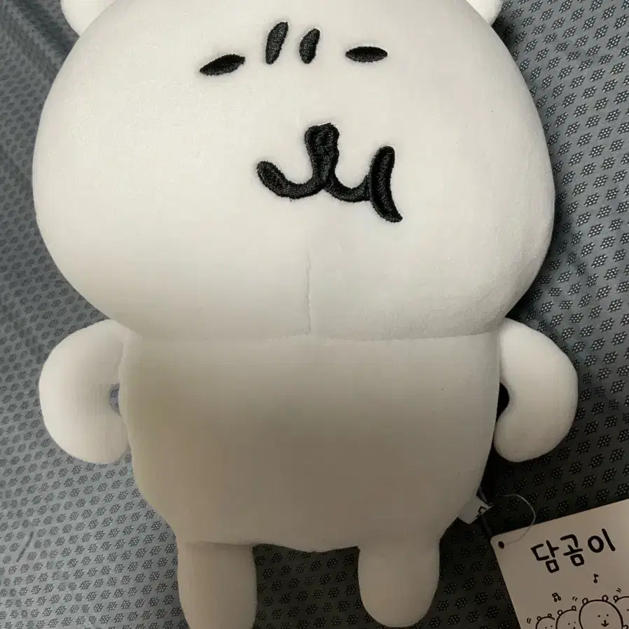 농담곰 나가노 담곰이 진실의 미간 M