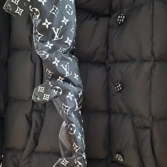 루이비통 모노그램 푸퍼 구스다운 패딩 자켓 36 사진 6