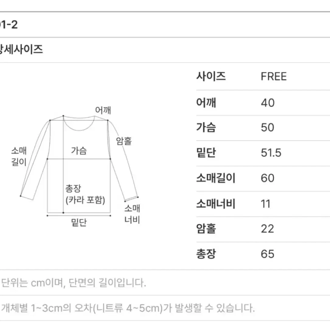 사색 파리 스탠다드 코튼 셔츠(아이보리)