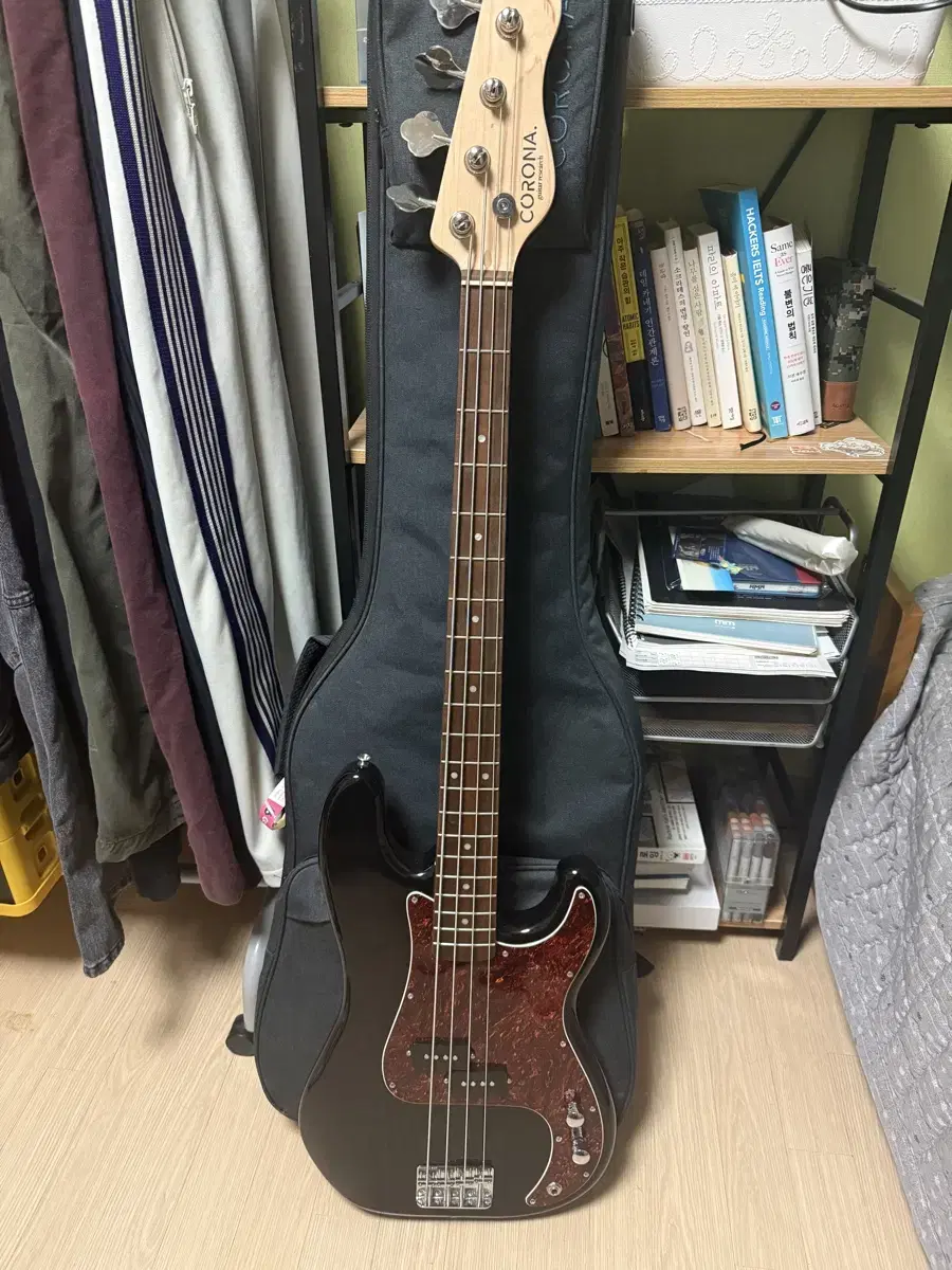 코로나 베이스 Corona Standard Bass