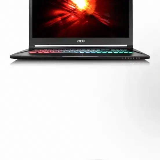 게이밍 노트북 msi gs73vr