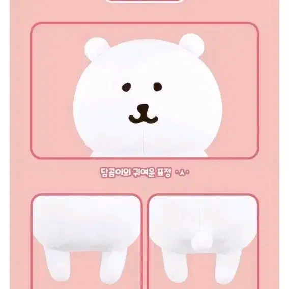 정품) 농담곰 M사이즈_택O 새상품