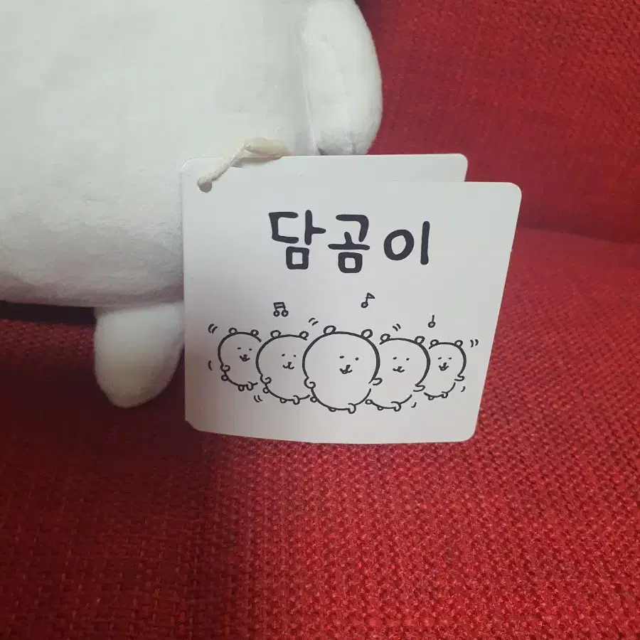 정품) 농담곰 M사이즈_택O 새상품