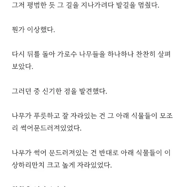 글 커미션 독후감 편지 보고서 등 문학관련 대필도 가능