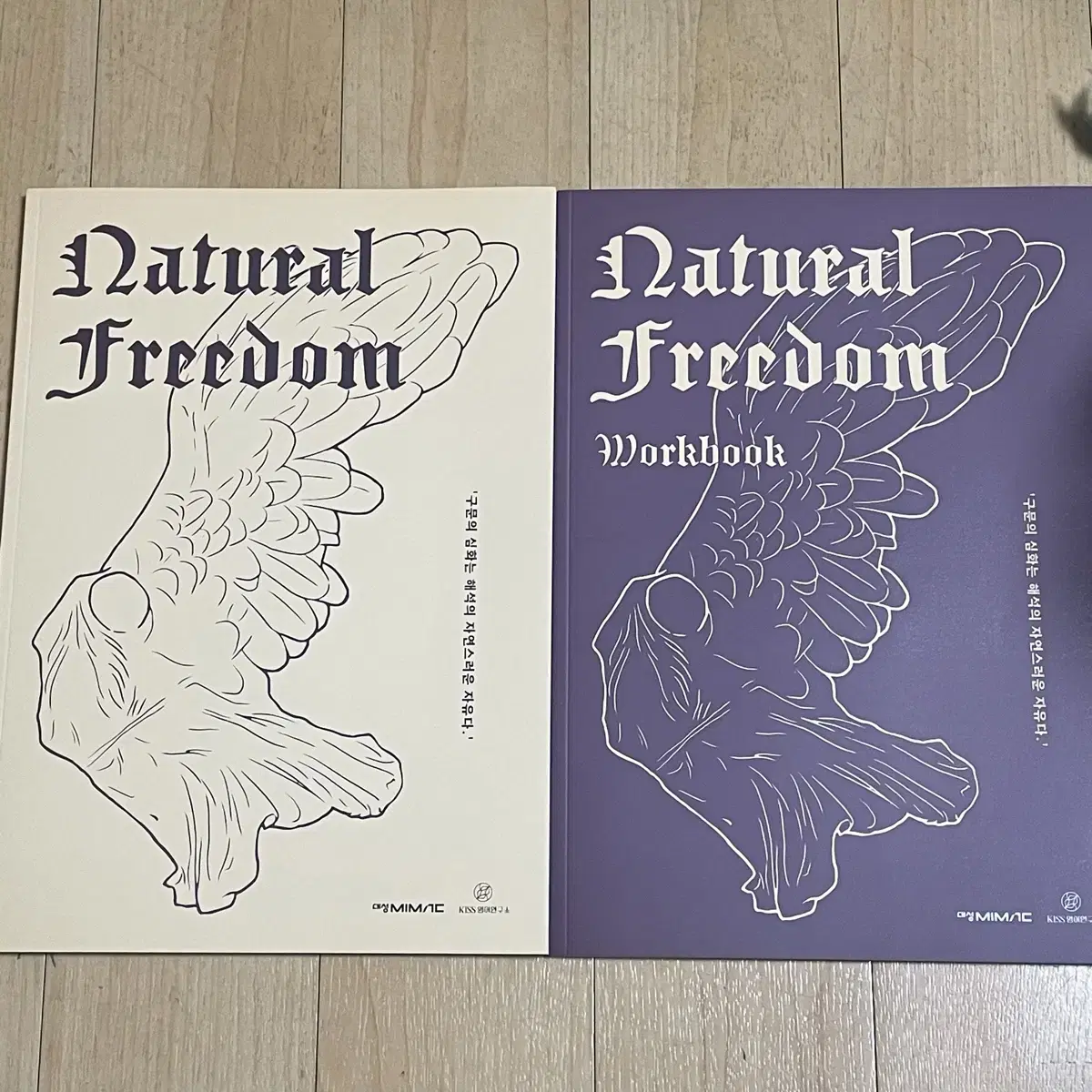 2026 션티 네츄럴 프리덤 natural freedom