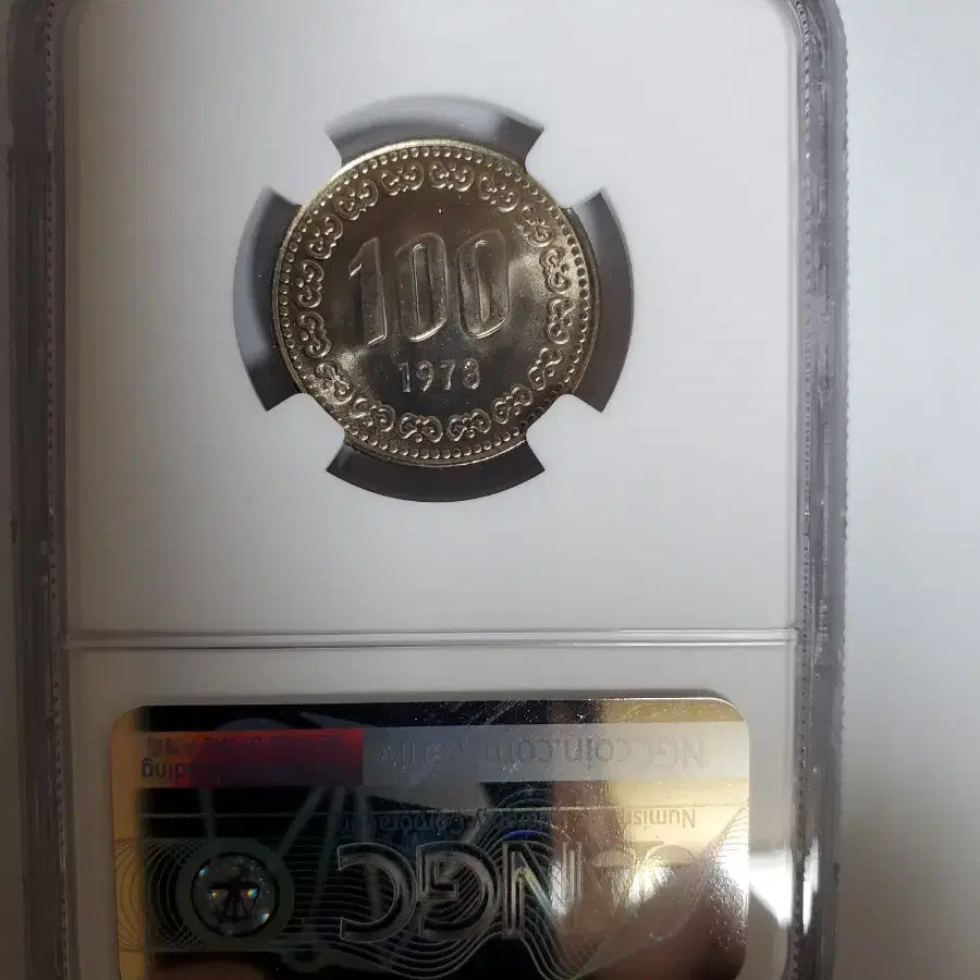 1973년100주 NGC 67등급