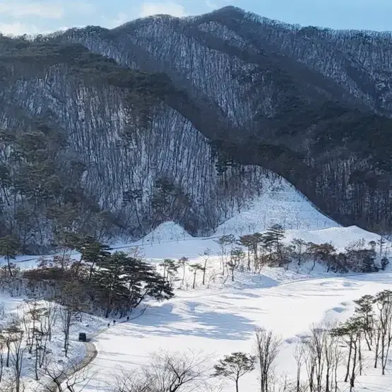 오크밸리 밸리빌리지 48평형(1/28-1/29 1박)