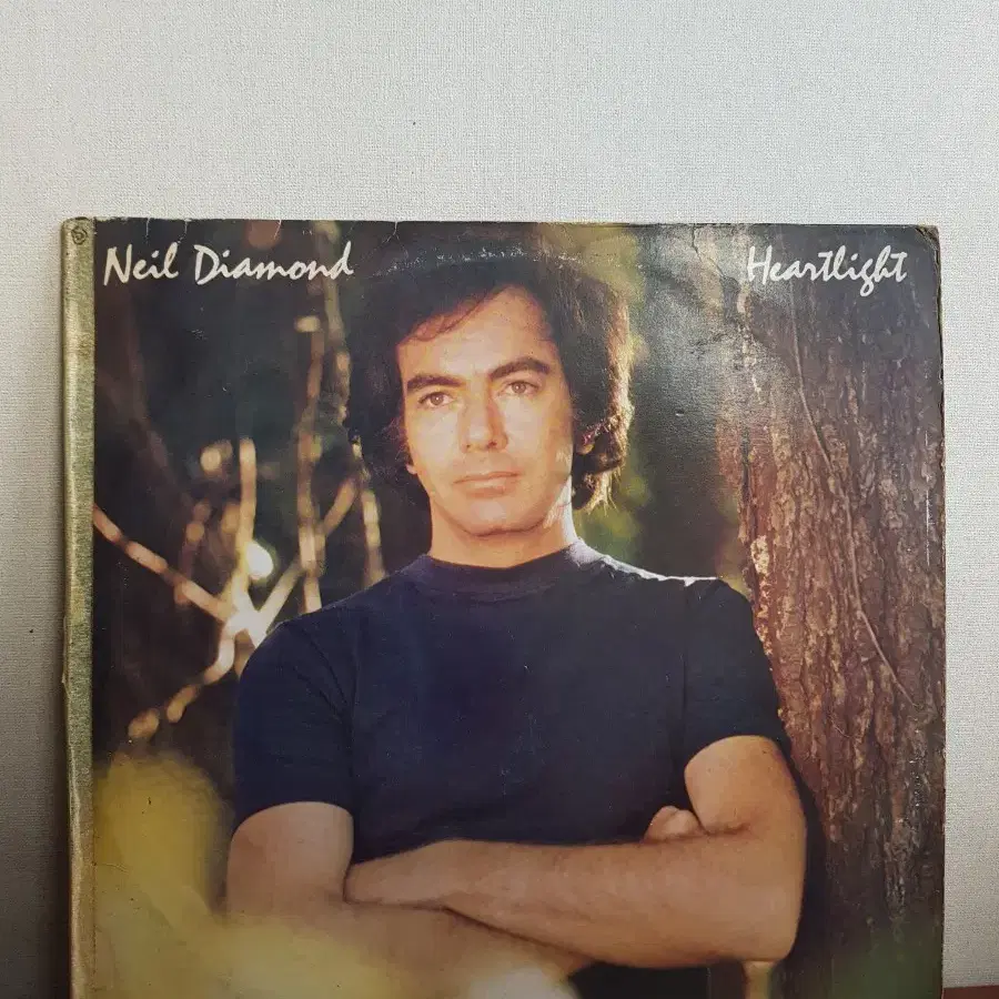 Neil Diamond 올드팝엘피 바이닐vinyl OldpopLp