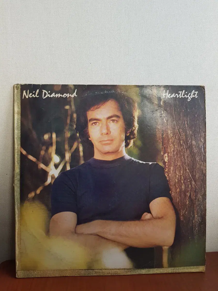 Neil Diamond 올드팝엘피 바이닐vinyl OldpopLp