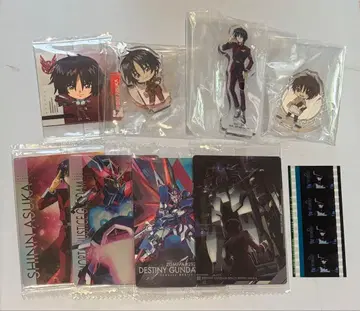 SEEDFREEDOM 얇은 아스카 필름 아크릴 스탠드