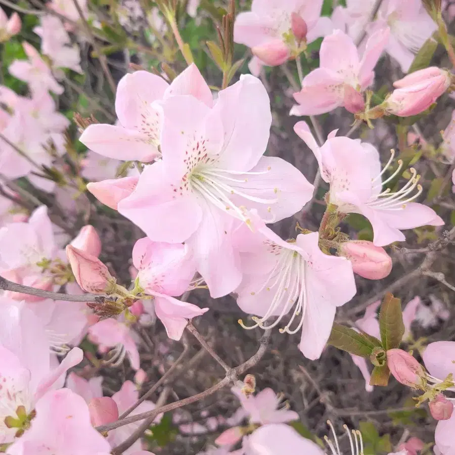 마이키님 마이키 비공굿 개인결제창.