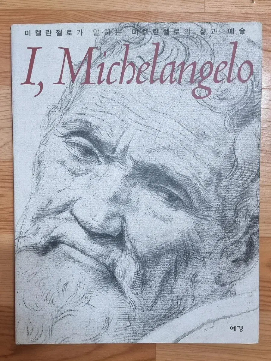 I,Michelangelo (미켈란젤로가 말하는 미켈란젤로의 삶과 예술)