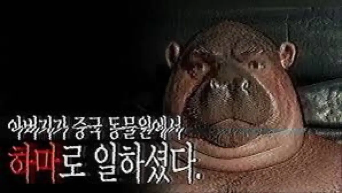 프리즈마 색연필 74색