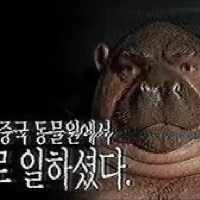 프리즈마 색연필 74색