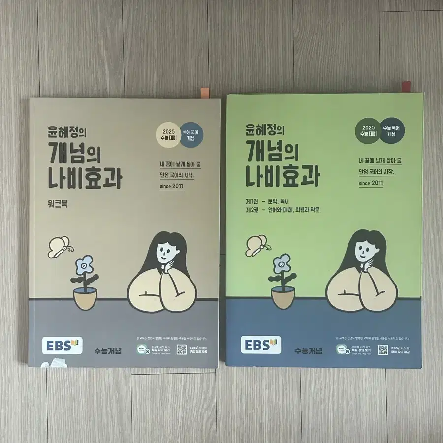 윤혜정 개념의 나비효과