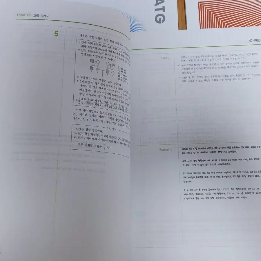 [총 5권] 시대인재 엣지 2025 지구과학 생명과학