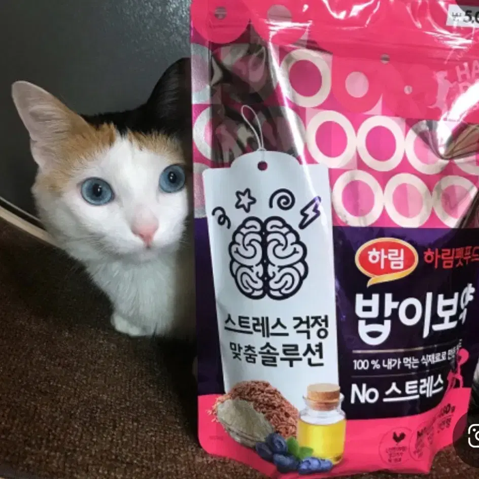 고양이 강아지 사료 간식 팝니다.