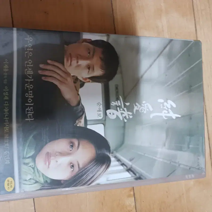 dvd 순애보