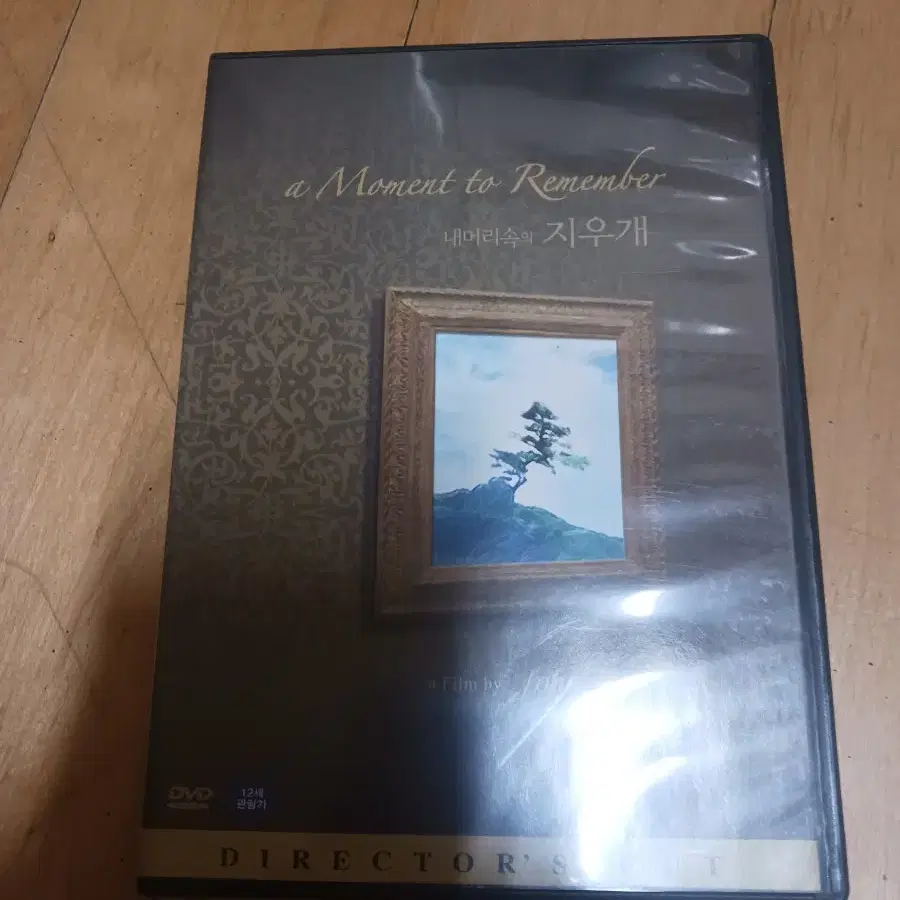 dvd 내머리속에 지우개