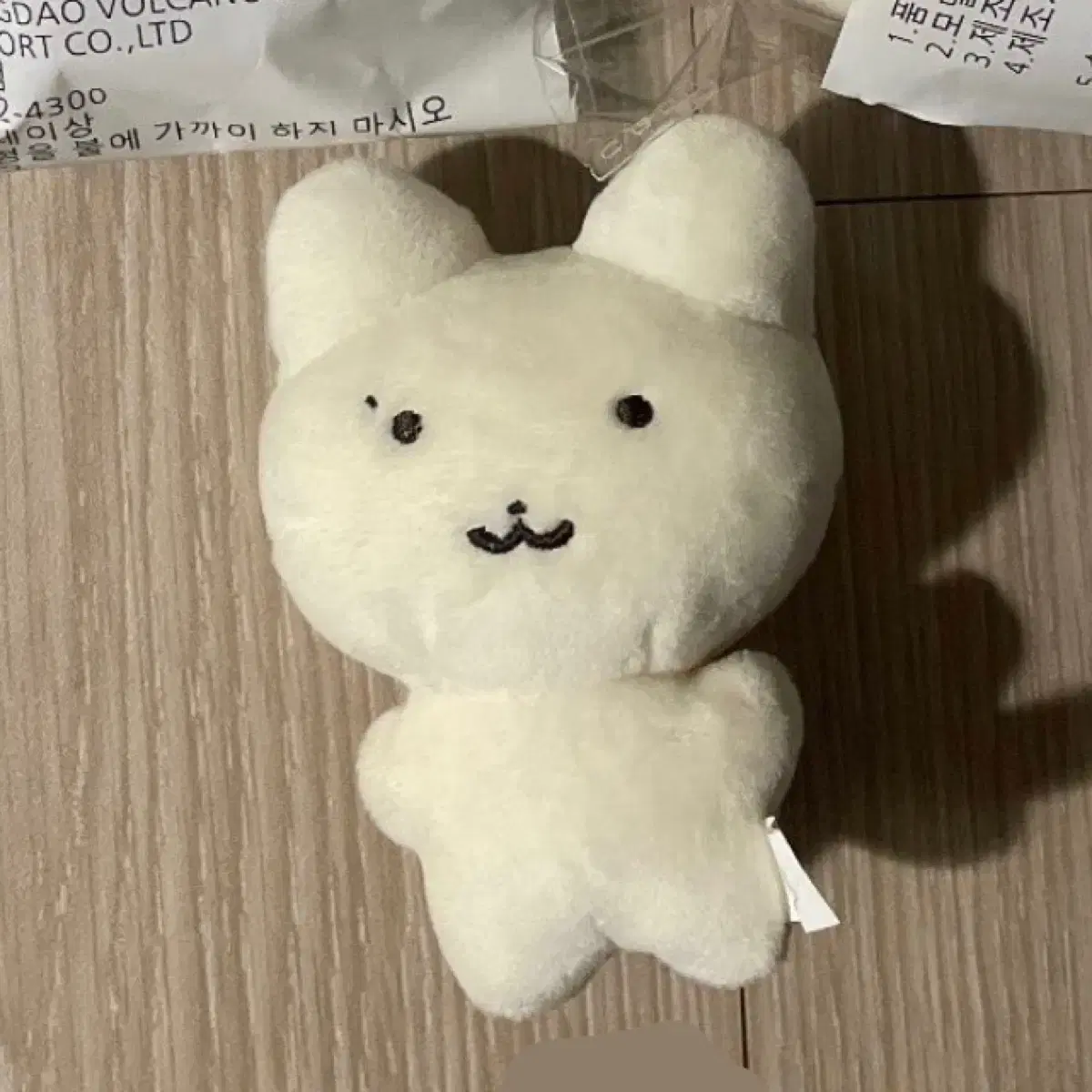 더보이즈 주연 인형 쭈부냥 쮸부냥 양도 판매 10cm