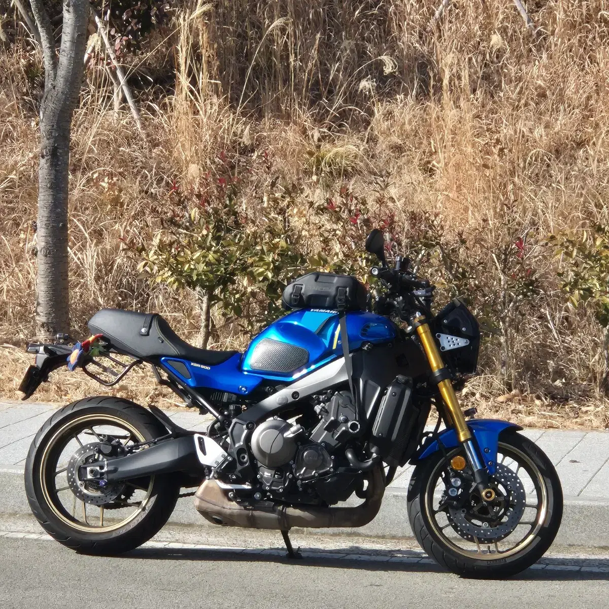 xsr900 판매 및 대차