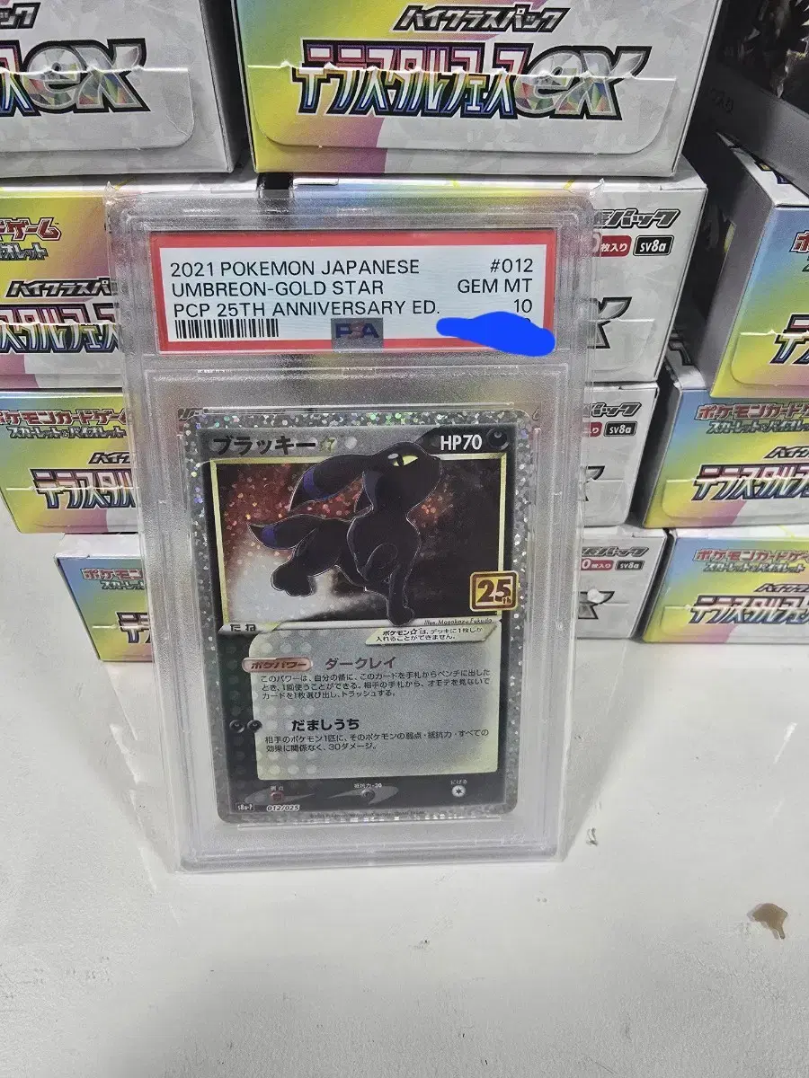 일판 포켓몬 25주년 블래키 psa10