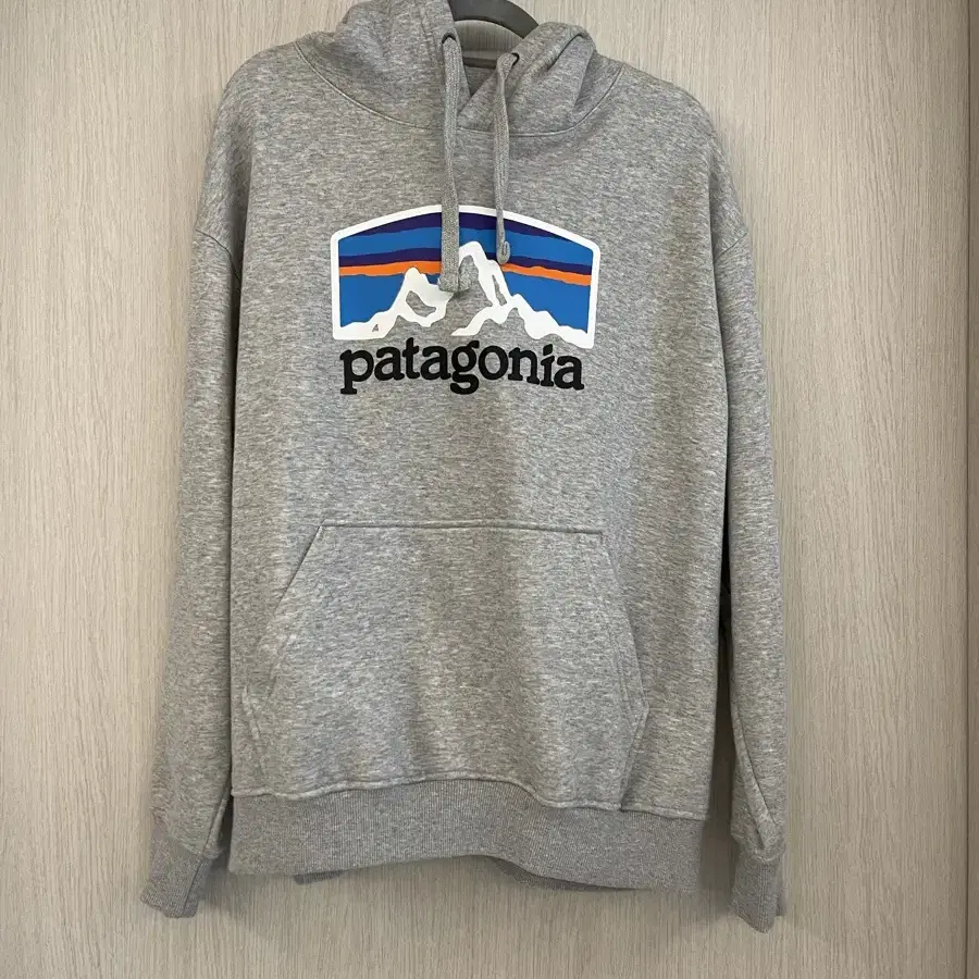 Patagonia 파타고니아 후드티 남녀 공용