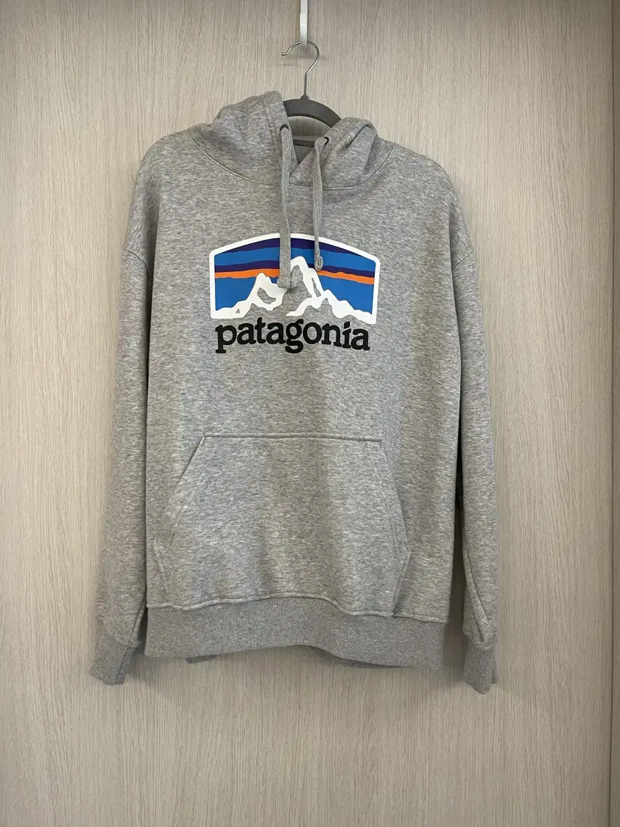 Patagonia 파타고니아 후드티 남녀 공용