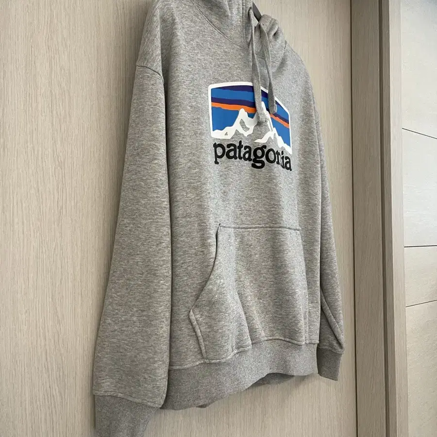 Patagonia 파타고니아 후드티 남녀 공용