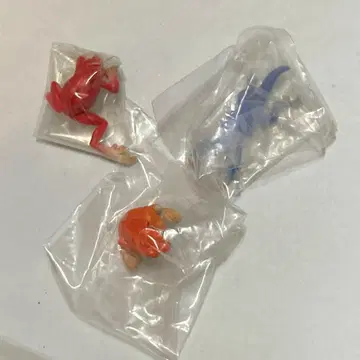 키탄클럽 키탄클럽 청개구리 레인보우