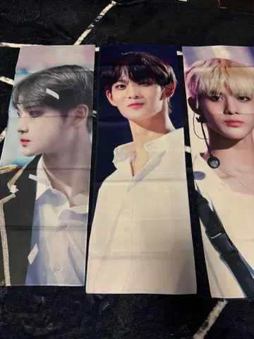 Wanna One 페지뇽 세트