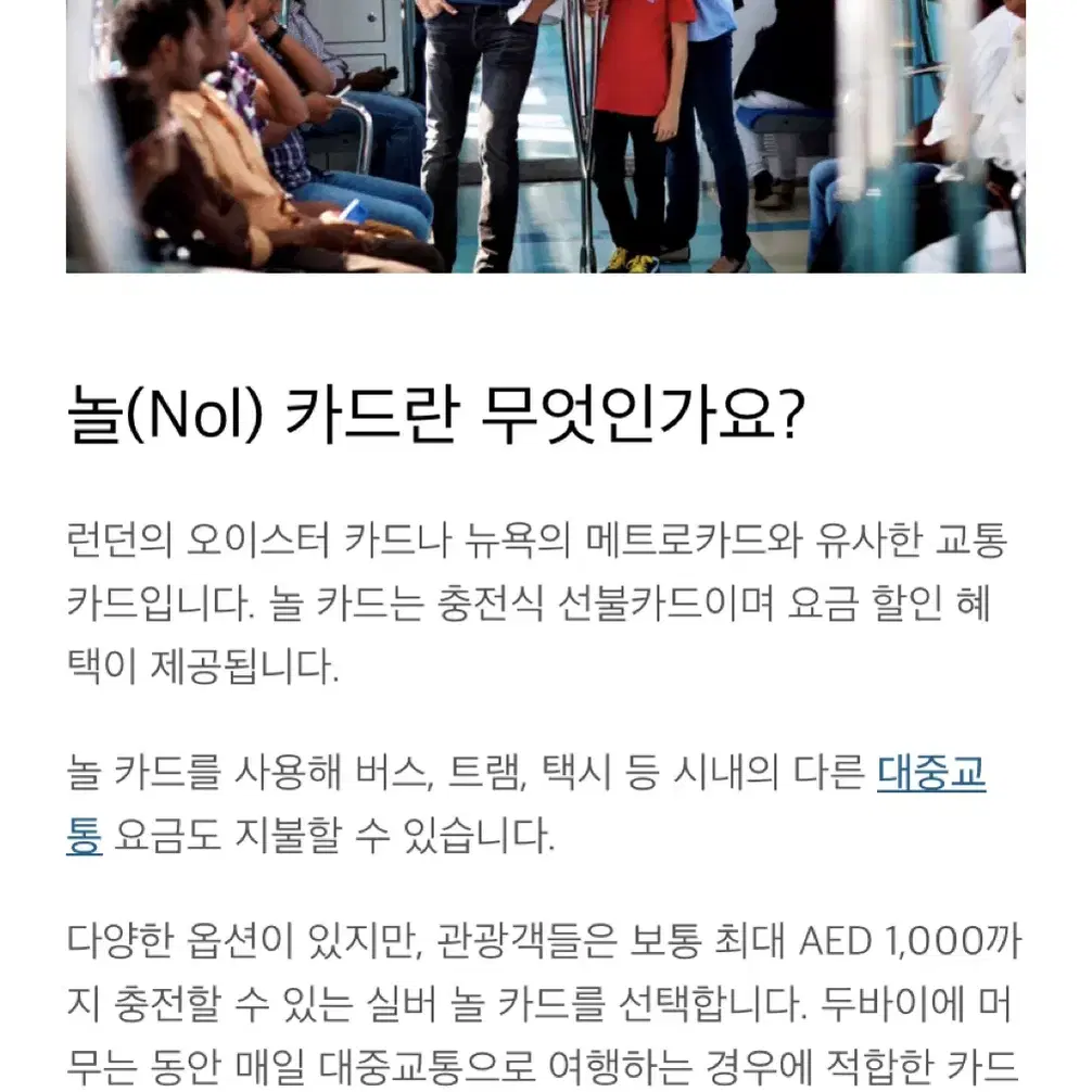 두바이 놀카드 실버