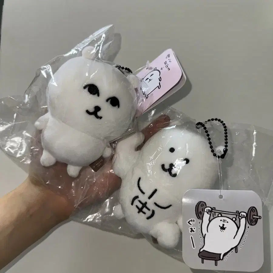 농담곰 부드럽게 쳐다보는 그윽곰 근육곰