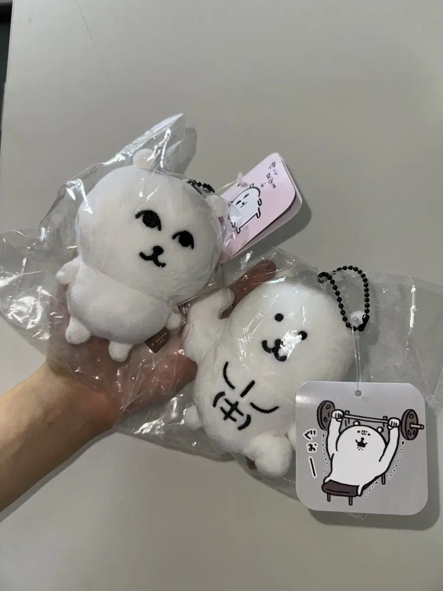 농담곰 부드럽게 쳐다보는 그윽곰 근육곰