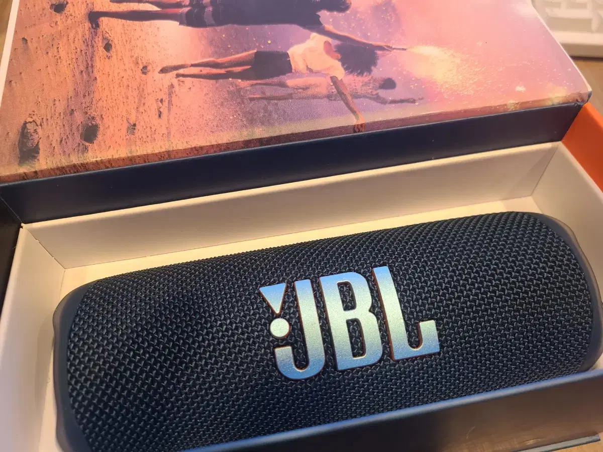 jbl flip6 플립6