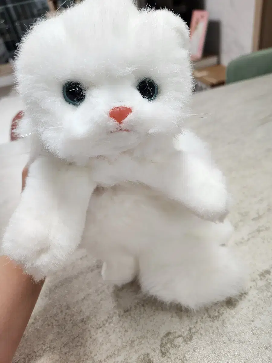 ty 빈티지 고양이 인형