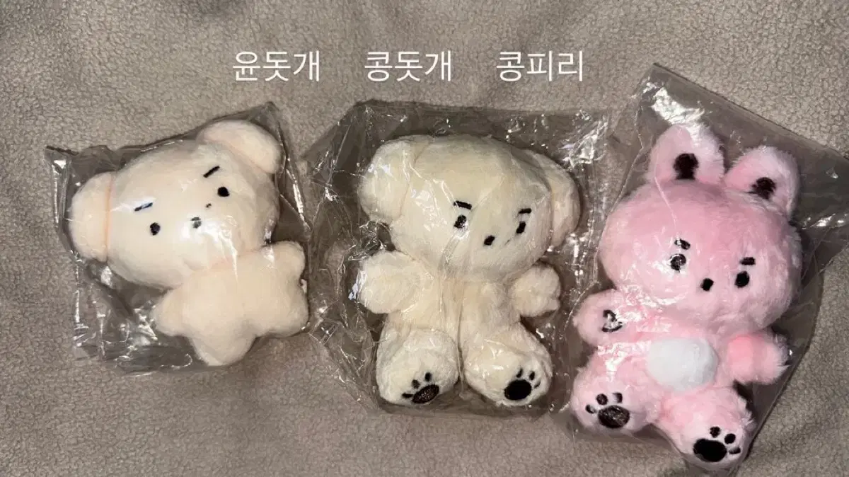 Day 6 doll, Kkondiga, Kkondiga, Wts