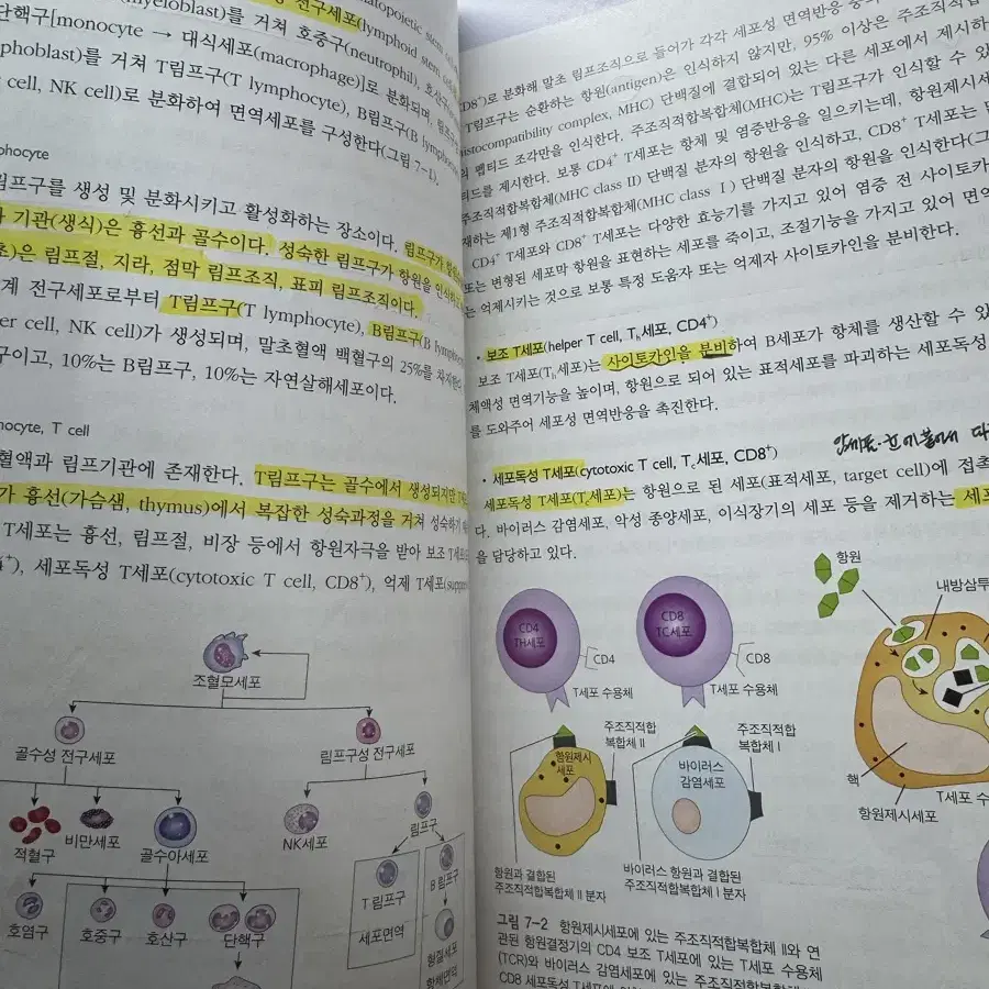 최신 병리학 제 3판