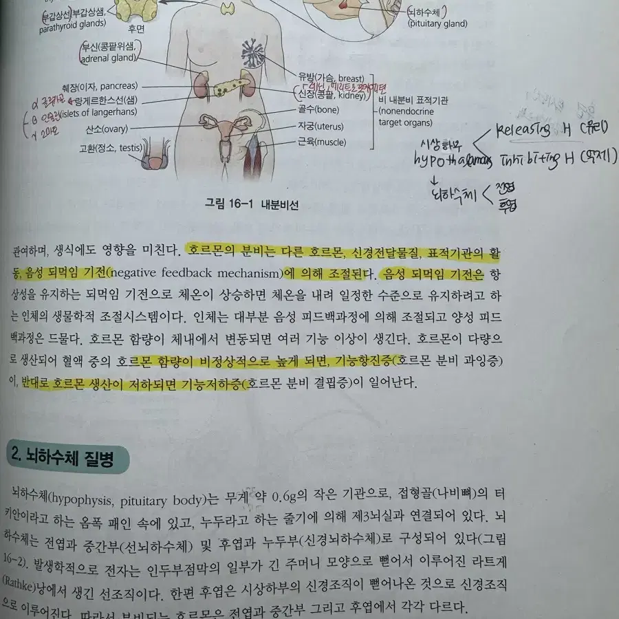 최신 병리학 제 3판