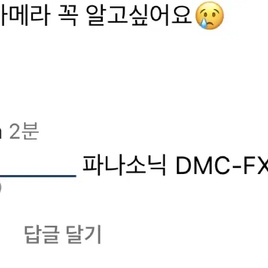 파나소닉 dmc-fx100 수사샤 디카