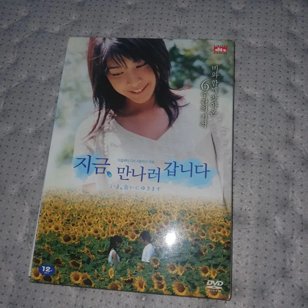 지금만나러갑니다 DVD .다케우치 유코