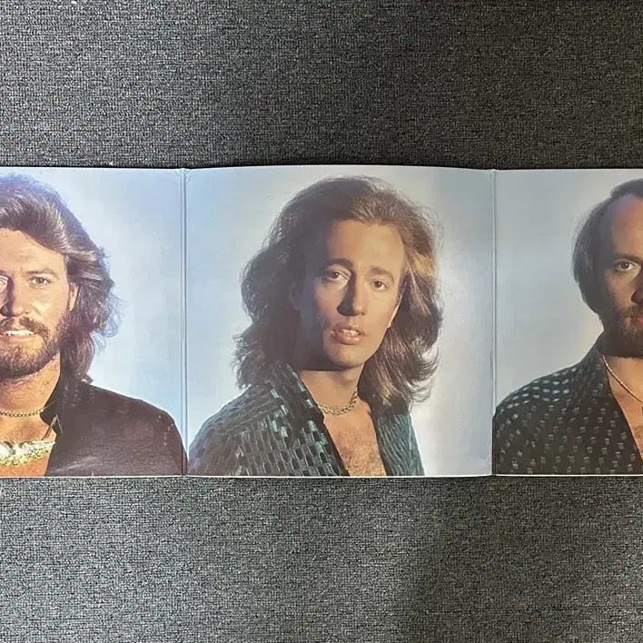 [2LP] Bee Gees Greatest Hits 레코드(LP) 팝니다