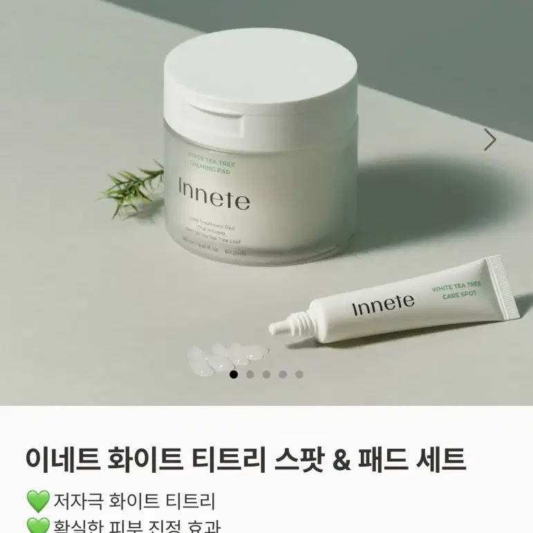 이네트 화이트티트티 패드&스팟