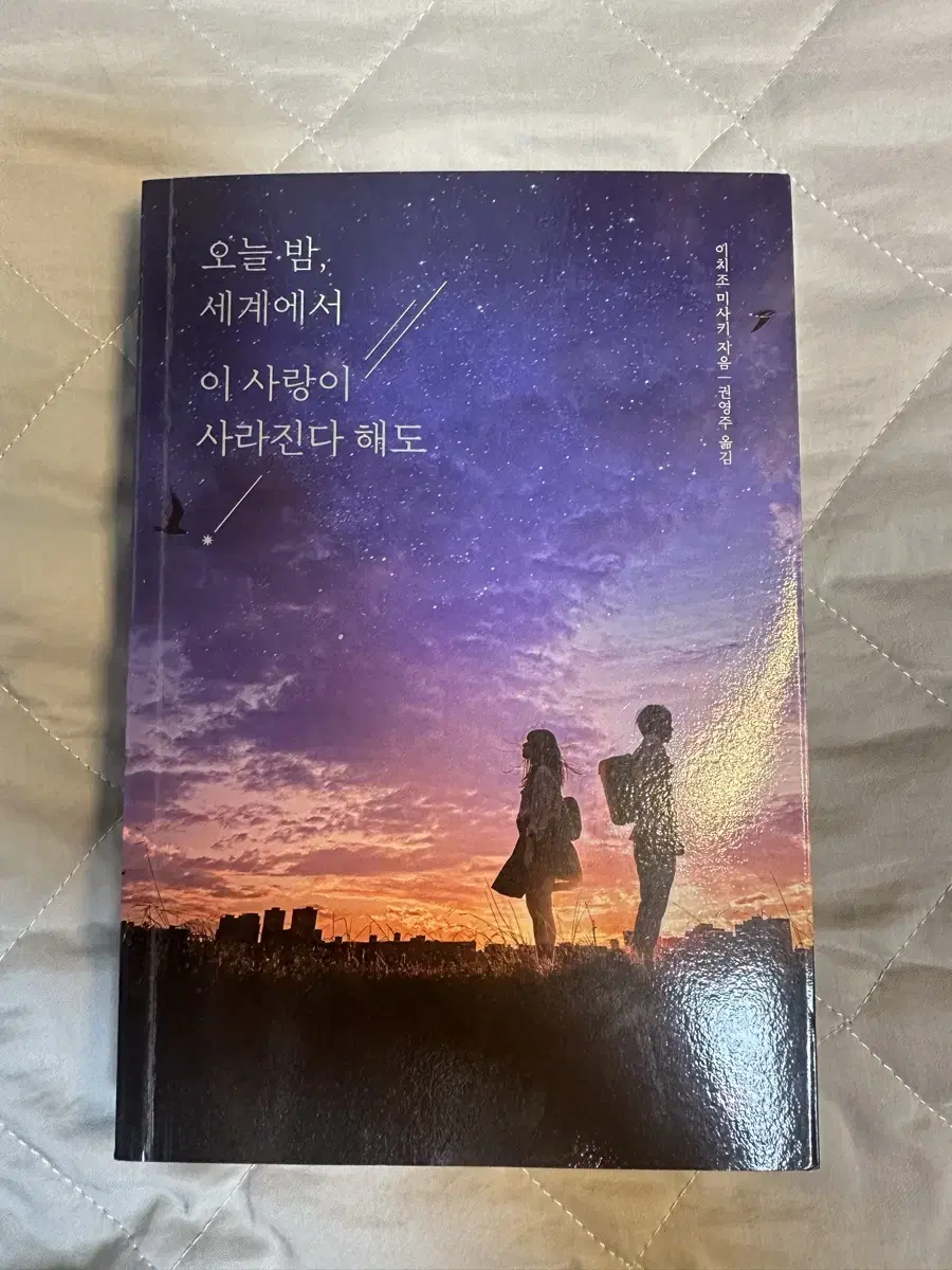 이치조 미사키) 오늘 밤, 세계에서 이 사랑이 사라진다 해도 소설