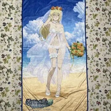던전에서 만남을 구하는 것은 잘못된 것일까? 그림이 그려진 타월