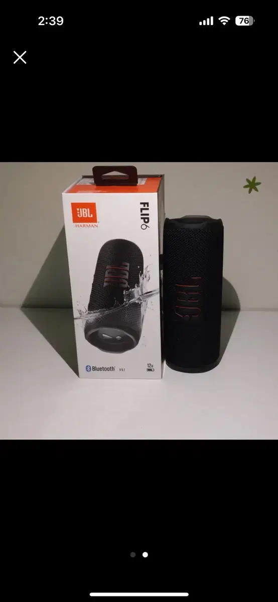 JBL 플립 6