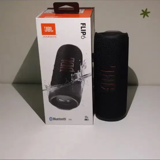 JBL 플립 6