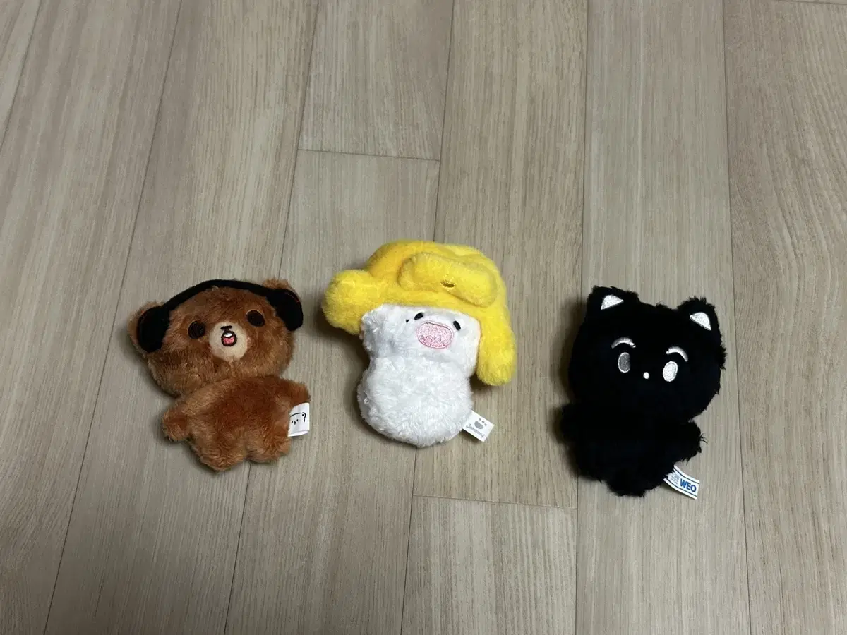 Xenmang, Xenmong, Aengnyang nct doll