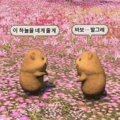 [구함] 맠도 소장본 양도 받아요! 엔시티 회지