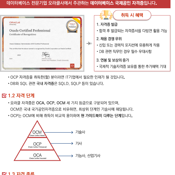 [최신] 오라클 자격증 OCP(19c) 취득 기출자료 + 가이드북